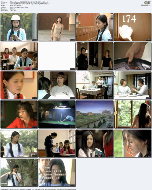 Meteor.Garden.S01E01.2001.480p.NF.WEB-DL.DDP2.0.x264.mkv.jpeg