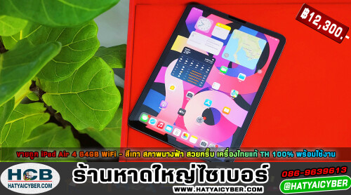 NEW-THEME22987d269fce11bd4.jpeg