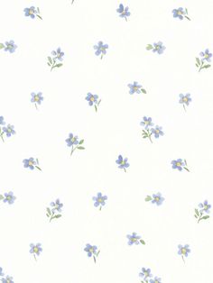 wallpaper-flower.jpeg