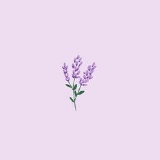 wallpaper-violetflower