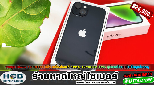 NEW-THEME2c978ecd3cbc1c6c2.jpeg