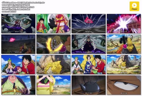 One-Piece---899-1080pByoLeGonCruZe.mkv.jpeg