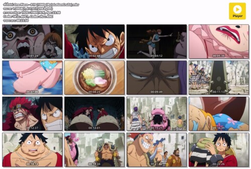 One-Piece---919-1080pByoLeGonCruZe.mkv.jpeg