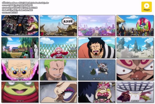 One-Piece---952-1080pByoLeGonCruZe.mkv.jpeg