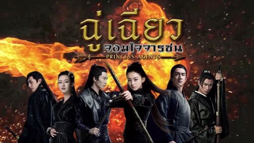 Princess-Agents---1.jpeg