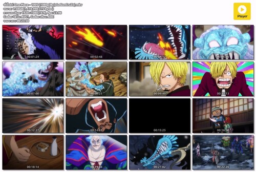 One-Piece---1005-1080pByoLeGonCruZe.mkv.jpeg