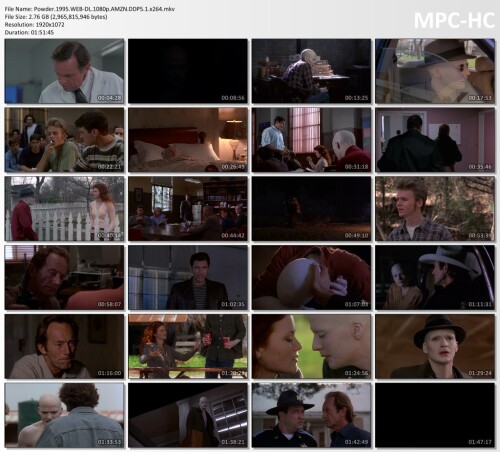 Powder.1995.WEB-DL.1080p.AMZN.DDP5.1.x264.mkv_thumbs.jpeg