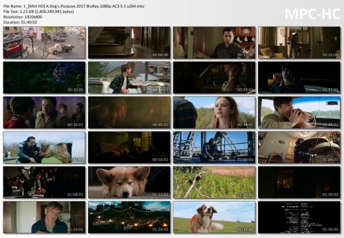 1_Mini-HD-A.Dogs.Purpose.2017.BluRay.1080p.AC3.5.1.x264.mkv_thumbs18eb4d403706c6bd.jpg