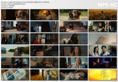 2_Mini-HD-A.Dogs.Journey.2019.BluRay.1080p.AC3.5.1.x264.mkv_thumbsd2ea21997cb488c3.jpg