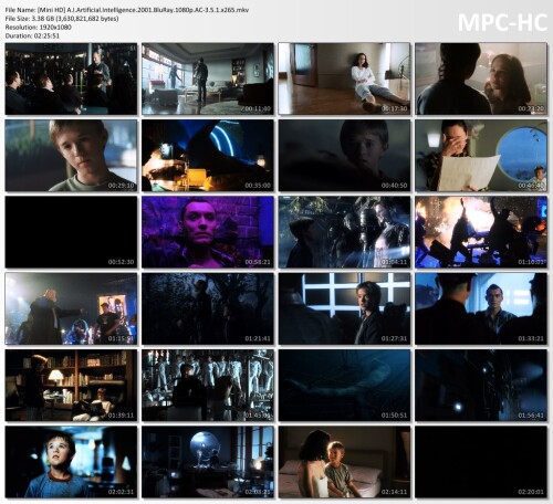 Mini-HD-A.I.Artificial.Intelligence.2001.BluRay.1080p.AC-3.5.1.x265.mkv_thumbs97eda4b3bbd9b26a.jpg