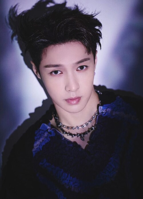 LAY-15a89078deb49ae66.jpg