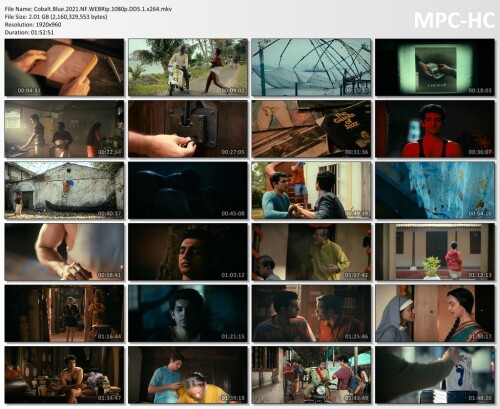Cobalt.Blue.2021.NF.WEBRip.1080p.DD5.1.x264.mkv_thumbs4f0bc35fa89cc6a7.jpg